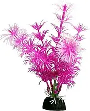 Bettascape Betta Ambulia Pink 14cm Tall Aquarium Plant Fish Tank Décor Aqua One