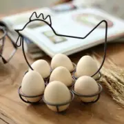 Egg Storage Case Holder Box Eggs Container Tray For Fridge & Freezer