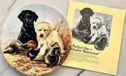 Edwin M. Knowles Field Puppies A Perfect Set Labradors-Lynn Katz by UKC