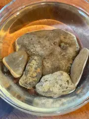 Natural Ohio Rocks For Tank Decorating- Gnarly Dark Pitted Porous Hag Stone