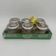 Set (6) Frucht & Fun Glass Screw on Lid Jam Jars by Leifheit 1/4 Liter Germany