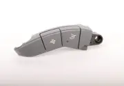 Genuine Very Dark Steel Gray Cruise Control and Radio Control Switch 15297450