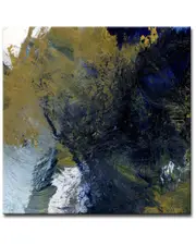 Ready2HangArt Chaos Wrapped Canvas Wall Art by Karen Moehr