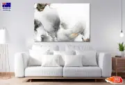 Black & Gold Splash Abstract Art Wall Canvas Home Decor Australian Made Quality