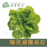 【綠寶鮮活無塵水耕蔬菜】陽光甜脆萵苣 (250±10G) / 下單前請先詢問是否有貨(免洗 沙拉、烤肉、露營、綠拿鐵)