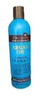 Renpure Argan Oil Luxurious Shampoo, 12 fl oz – Hard-to-Find, Old Formula