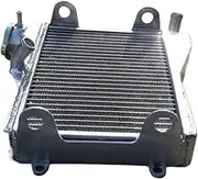 Engine Radiator Fit for Yamaha RD250 RD350 1973 1974 1975 Street Series 250 350 Aluminum Radiator Radiator Grille