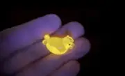 Uranium Vaseline Baby chick Solid Glass Hand Made By Rafael Nova Yellow Glow