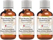 Greenwood Essential Pure Nootka Tree Essential Oil (Cupressus nootkatensis) Steam Distilled Natural Therapeutic Grade (Pack of Three) 100ml X 3 (10 oz)