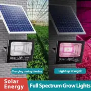 Solar LED Grow Light Full Spectrum Floodlight Plant Growing Light with Remote Wa