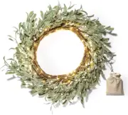 Christmas Wreaths for Front Door, 20 Inch Flocked Mistletoe Wreath with Pearly W