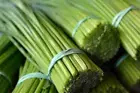 PREMIUM HIGHLY SCENTED REED DIFFUSER REFILLS -Lemongrass Fragrance