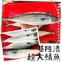 在飛比找樂天市場購物網優惠-【天天來海鮮】基隆港超大鯖魚 產地：台灣