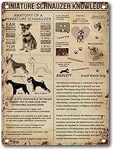 viemso Tin Sign Mini Schnauzer Knowledge Retro Mini Schnauzer Fact Lover Wall Art Decor Metal Sign 12x16inch