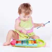 在飛比找松果購物優惠-八音敲琴玩具 手敲琴 8音敲琴 益智早教音樂琴 嬰幼兒樂器 