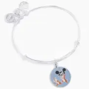 Disney Parks Alex And Ani Chip And Dale 2018 Silver Charm Bangle Bracelet NEW