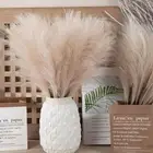 Bedroom Plante Artificial Reed Artificial Flower Pampas Grass Fake Flowers