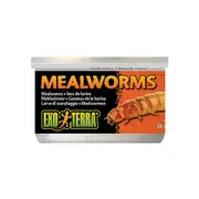 Exo Terra Mealworms