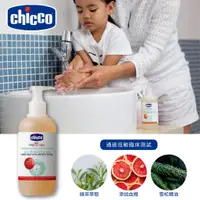 在飛比找蝦皮購物優惠-義大利 Chicco 抗菌清潔洗手液 250ml 綠茶萃取 