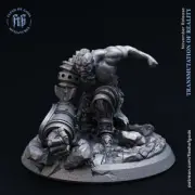 Bracnus, the Half-Golem - Transmutation of Reality - Flesh of Gods Wargaming D&D