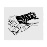 2 x 'Black Labrador Retriever' Lens Cleaning Cloths (LC00026571)