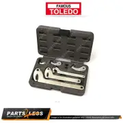 Toledo C-Hook Wrench Set with Pin & Hook Style Interchangeable Head