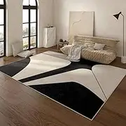 Simple Carpets for Living Room Black White Bedroom Decor Plush Carpet Home Washable Floor Mat Fluffy Soft Cloakroom Rug,4,80x120cm