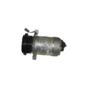 AC Compressor 6-262 Fits 93-94 CHEVROLET 10 VAN 3655008