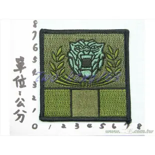 二王軍警防身百貨用品★☆成功嶺臂章(低視度)26-3★☆國軍 陸軍 迷彩服