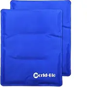 World-Bio Large Gel Ice Pack for Injuries,Reusable Freezer Bags for Pain Relief,2Pcs Cold Therapy Pads,Hot & Cold Gel Pack for Back,Shoulder,Elbow,Hip,Leg,Abdomen,Waist,11"x14"