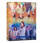 【婷婷隨身聽】盒裝高清電視劇 正好遇見你 DVD碟片光盤 1-35全集 郭曉東 張楠