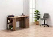ADAMS Desk