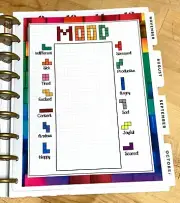 Tetris Mood Emotions Two Sided Dashboard Insert for use with HAPPY Planner