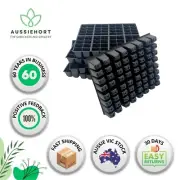 Seedling Tray, Quick Cell, 64 Cells, 5 Trays Per Pack, Seedlings, Tomato