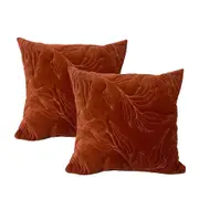 2pc Cloud Linen Sophie Cotton Velvet/Feather 50cm Cushion Square Pillow Clay