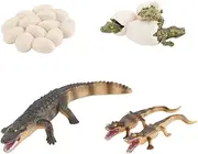 SUPVOX 1 Set Educational Model Growth Cycle for Realistic Simulation Amphibian Plaything for Animal Cognition and Creativity Development