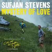 在飛比找博客來優惠-Sufjan Stevens / Mystery Of Lo