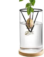 Lmyit Avocado Tree Starter Vase - Avocado Tree Growing Kit Wooden Base Starter Vase - Plant Pot Sprout Propagation Growing for Table Decoration & Gardening