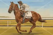 Bonecrusher The 1986 Cox Plate Winner * 6 x 4 Inches Print