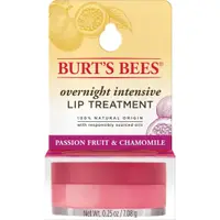 在飛比找蝦皮購物優惠-現貨 Burt's Bees Overnight Lip T