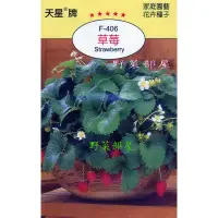 在飛比找蝦皮購物優惠-【萌田種子~花卉種子】Y33 草莓Strawberry~穗耕