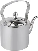 BIUDECO Large Stainless Steel Teapot with Removable Infuser Rustproof Kettle for Loose Leaf Tea for Home Brewing and Gifting Chic Design for Tea Lovers