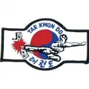 Tae Kwon Do Martial Arts Patch - 5"
