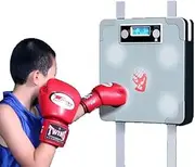 Home Kids Teenagers Wall Boxing Machine Martial Arts Punching Bag Training Equipment Boxing Pad Stand with Smart Chip Responds Lights Raining Music Boxing Gloves