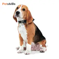 在飛比找松果購物優惠-【Petshion】寵物皮革項圈 狗項圈 寵物頸圈 狗狗項圈