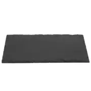 Stone Tortoise Lizard Decorative Reptile Feeding Plate Turtle Tortoise Lizard