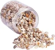 RORPOIR Natural Seashells for Crafting Small Conch Home for Fish Tank Decoration for Arts and Crafts Projects and Room