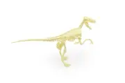 Velociraptor Dinosaur, Puzzle Model Plastic Skeleton Model 10" - F1811 B304