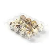 100 X Plastic Clear Quail Egg Cartons For 12 Eggs