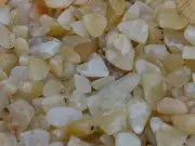 Yellow Aventurine Crystal Chips Not Drilled Polished 100 Grams Bulk Lot